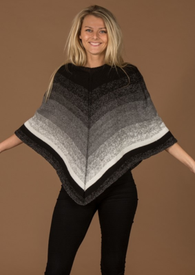 Poncho ja Mayflowers 4