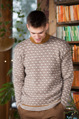 DSA99-01 Norve Genser