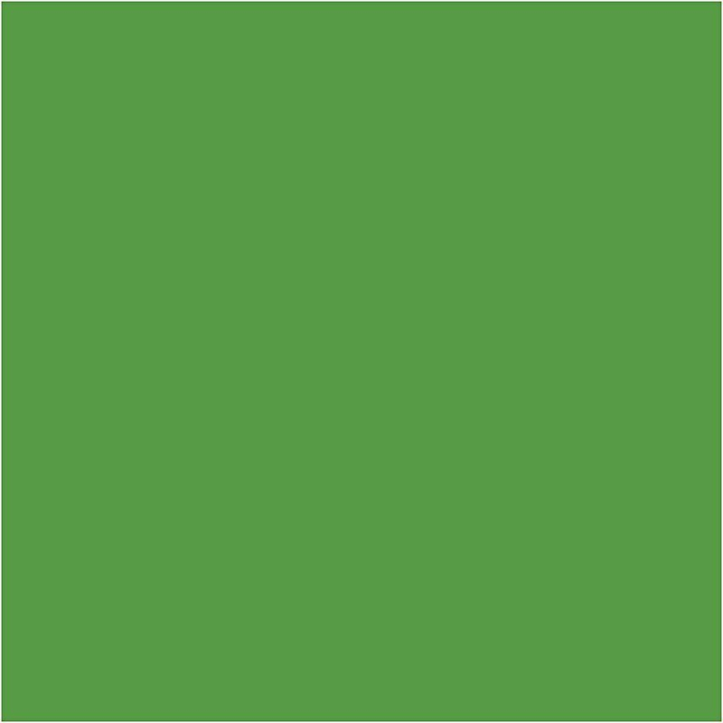 Plus Color Hobbymaling 60 ml Bright Green