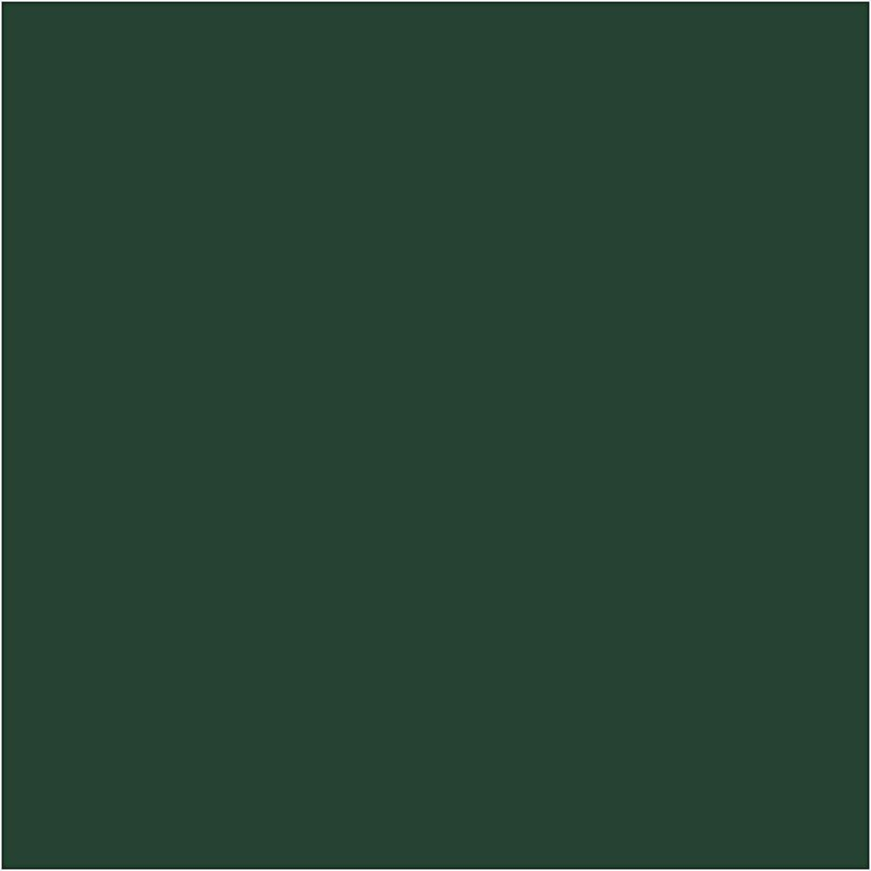 Plus Color Hobbymaling 60 ml Dark Green
