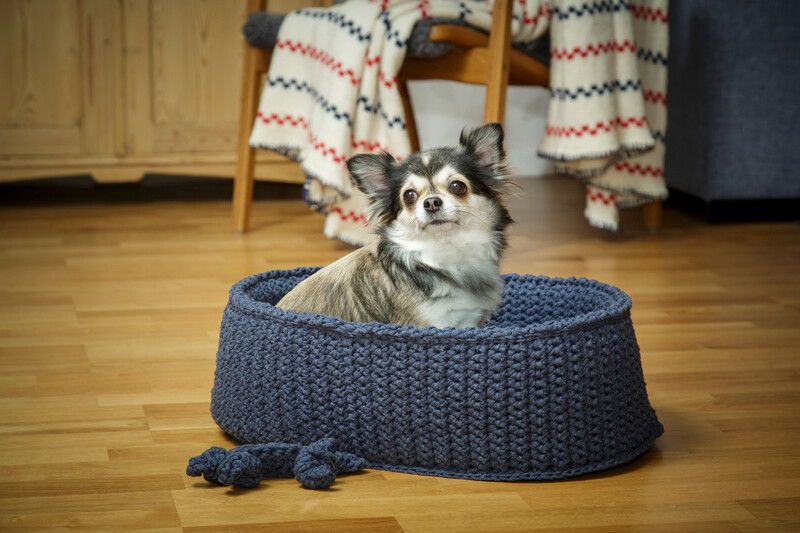 92182 KOIRAN KORI JA LIHANLUUT