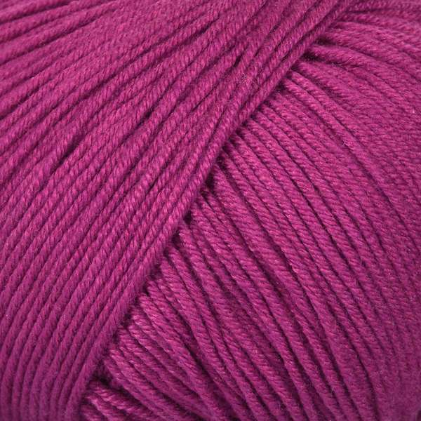 Mayflower Alliance Fine