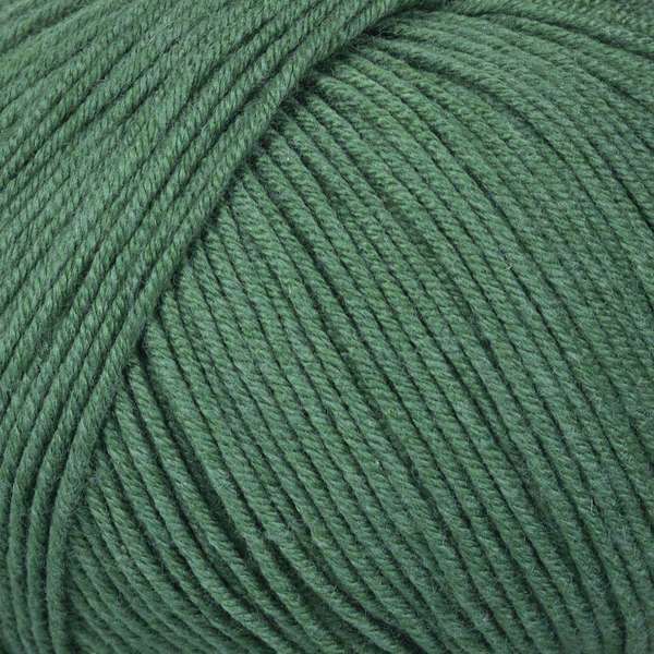 Mayflower Alliance Fine