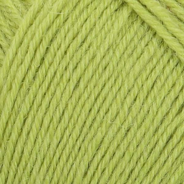 Regia 100 g 4-ply 01056 Limette