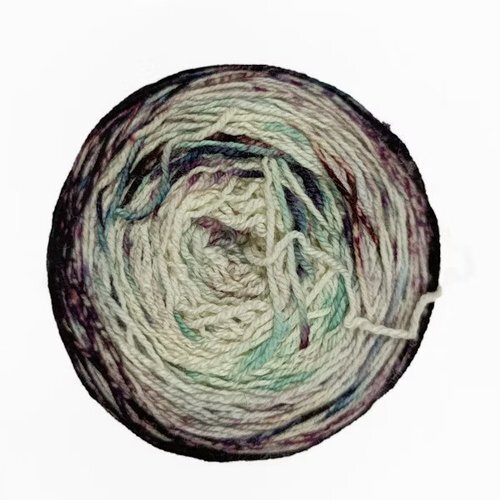 Malabrigo Sock Metamorphosis 327 Soul Train