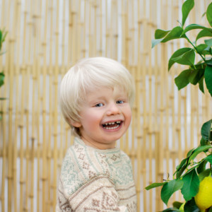 Aikakauslehti: DSA41 NORDIC SUMMER