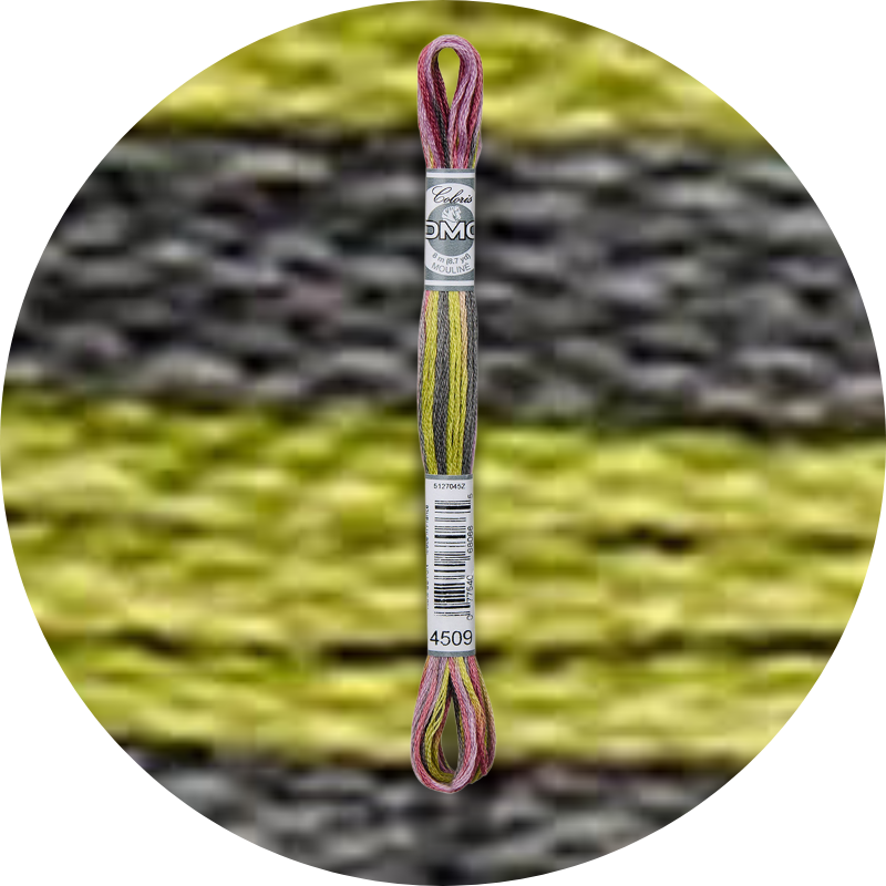 DMC Mouliné Coloris Kirjontalanka 4509