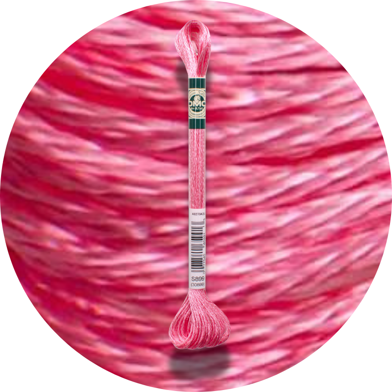 DMC Mouliné Satin Kirjontalanka S899