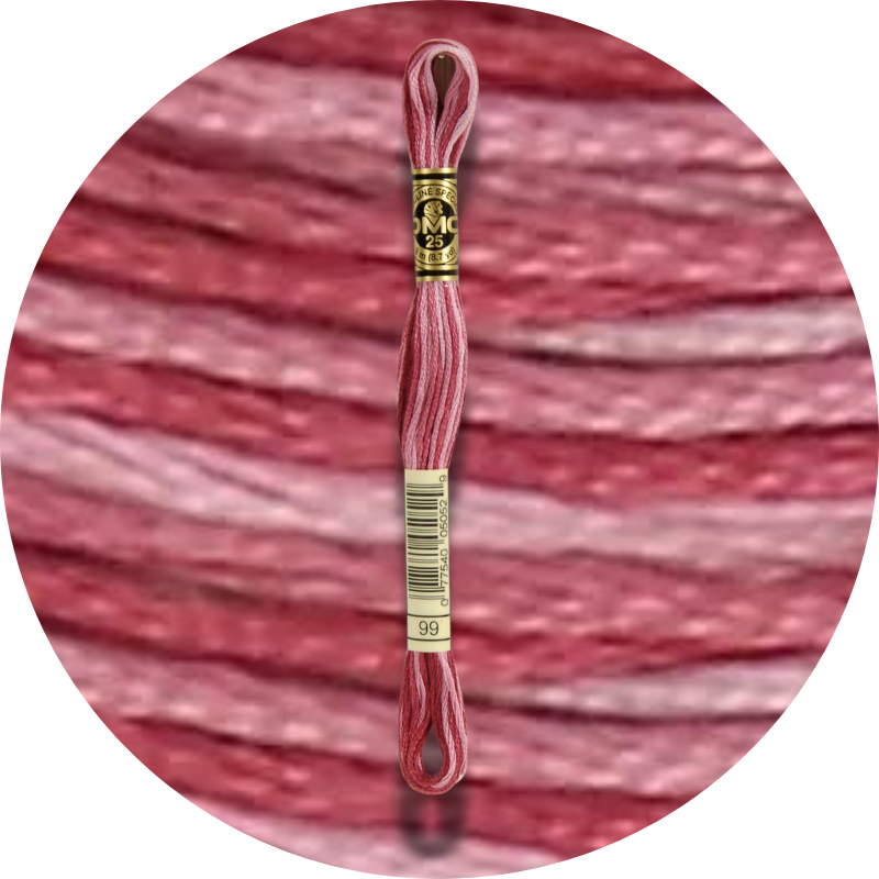 DMC Mouliné Spécial 25 Kirjontalanka, Väriä Vaihtava 0099