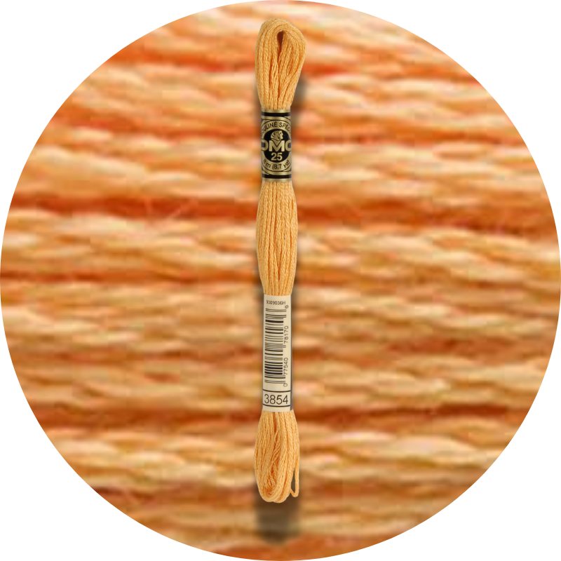 DMC Mouliné Spécial 25, Punaisen/Keltaisen/Oranssin sävyt 3854