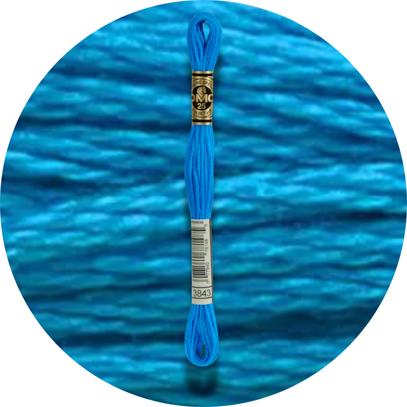 Mouliné Spécial 25 Sinisen/Violetin 3843