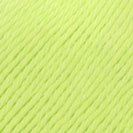 Must-have 8/4 084 Pistaasi