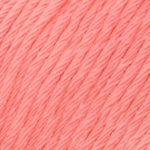 YAC Epic 8/8 039 Salmon