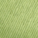 YAC Epic 8/8 123 Fern