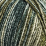 Raggi 100g 15190 Blended green