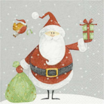 Lautasliinat, joulu, 33 x 33 cm, 20 kpl