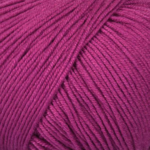 Mayflower Alliance Fine