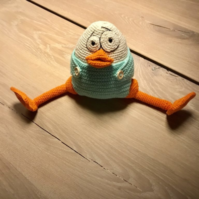 Muna ja ankanpoikanen